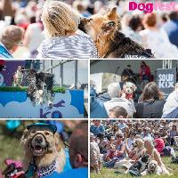 DogFest, Bristol