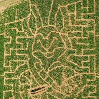 Get ready for a Spectacular Summer at Willows Activity Farm