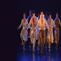 Hofesh Shechter SHOW