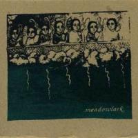 Meadowlark plus Support at The Record Factory