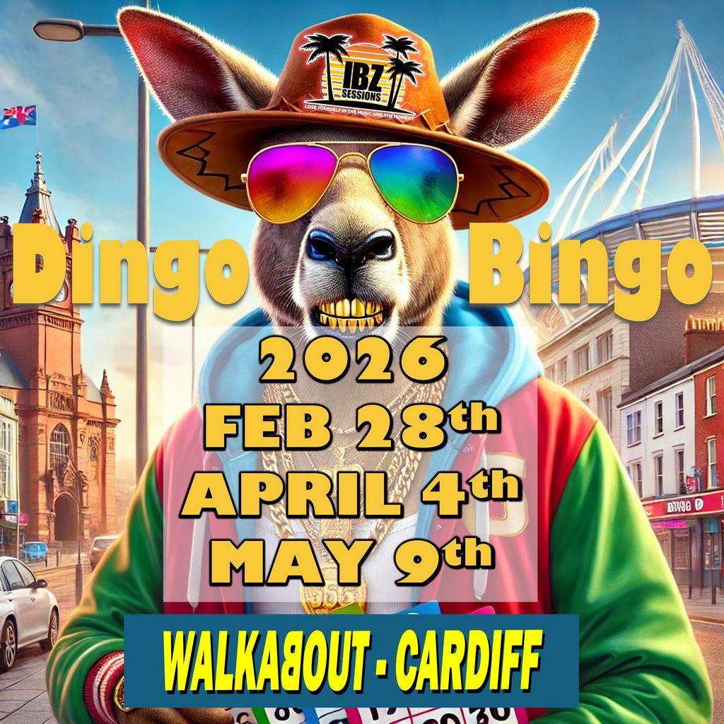 Dingo Bingo