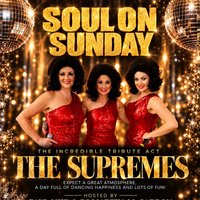 Soul On Sunday Day Party at barras art and design (baad)
