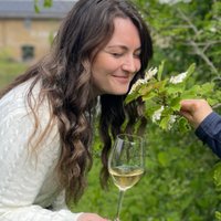 Wine & Walk: An Exclusive Evening of Wine and Wetlands at WWT London Wetland Centre