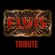 Elvis tribute night  Event Title Pic