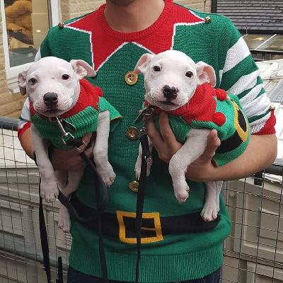 Christmas Fair & Open Day
