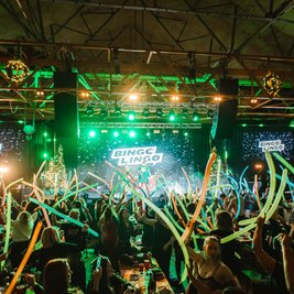 Bingo Lingo XL - St Patrick's Special