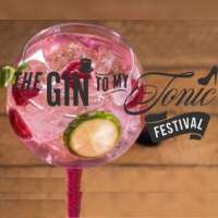 The Gin To My Tonic at Charter Hall At Colchester