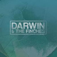 Darwin & The Finches, The Getsettes (Acoustic) and Catlow at Bootleg Social