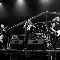 GIG: Toxicities (SOAD) at O'Rileys Hull - 11th July 2020 at ORILEYS LIVE MUSIC VENUE