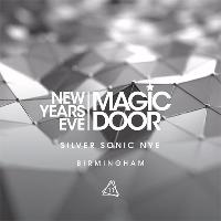 Magic Door Silver Sonic NYE at LAB11
