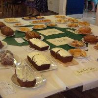 Delapre Abbey Village Show