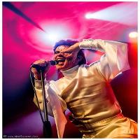 Absolute Bowie Live