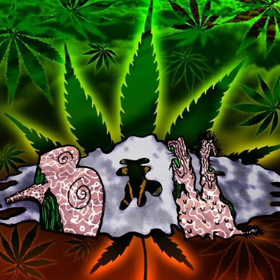 W.A.H - Bou