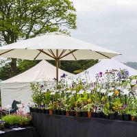 The English Country Garden Festival at Coombe Trenchard