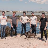 Rolling Blackouts Coastal Fever