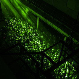 ABODE