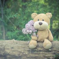 Teddy Bears Picnic