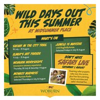 Summer in the City at Midsummer Place