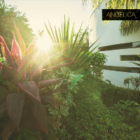Angelica Presents : Cafe Del Mar Ibiza Event w/ Laurence Guy