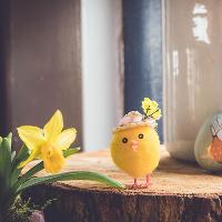 Easter Sunday