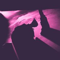 Underground Society XLVI: Merlot