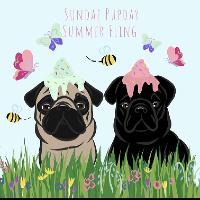 Sundae Pupday Summer Fling at Committee Room No 9