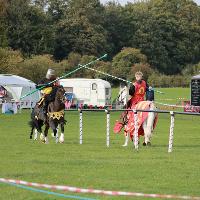 Ancient Oak Medieval Fayre