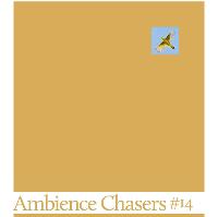 Ambience Chasers #14