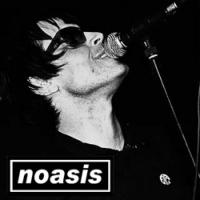 Noasis Plus Support