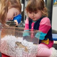 Pre-school Days at Life Science Centre