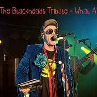 The Ian Dury & The Blockheads Tribute - What A Waste at Players Lounge