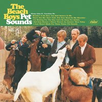 Immersive Music Club presents Pet Sounds by The Beach Boys