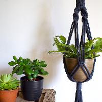 Macrame Plant Hanger Workshop