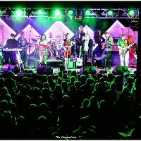 Box Rocks Music Festival Celebrating 25 Years