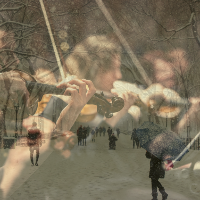 Birmingham Philharmonic Orchestra: Snow at Christmas at Sutton Coldfield Town Hall