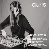 Nik Colk Void at Auris Festival at Sister   Renold Building