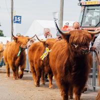 Royal Highland Show 2020 at Royal Highland Centre