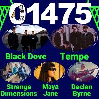 Ticket Reservation - Strange Dimensions at Gin House Hotel
