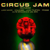 CIRCUSJAM at WaV