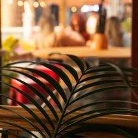 Roof Garden Open - BYOB (bring your own booze!) at Jacobs Roof Garden