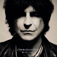 Chameleons Vox
