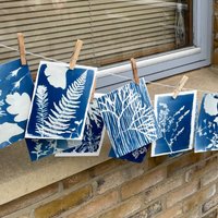 Family Cyanotype Printmaking Workshop