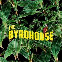 The Byrdhouse - Cardiff at Clwb Ifor Bach