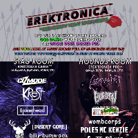 Erektronica 8 - The pub is ours