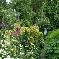 Festival of the Garden: The Culture of the Place