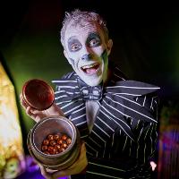 TOUCHWOOD’S HALLOWEEN HALF TERM FUN – VISIT IF YOU DARE!