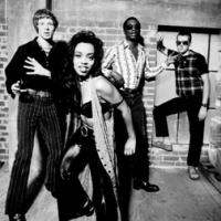 The Brand New Heavies The Brand New Heavies