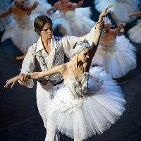 Swan Lake at Guildford's Yvonne Arnaud Theatre at Guildford's Yvonne Arnaud Theatre