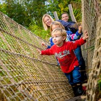 May Half Term at WWT London Wetland Centre