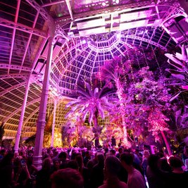 Seb Fontaine at The Palm House - Liverpool